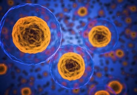 NCERT Biology Class 9