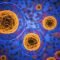 NCERT Biology Class 9