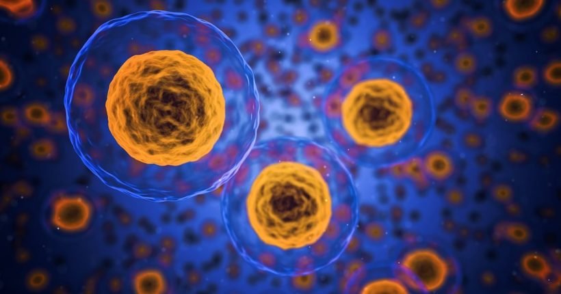 NCERT Biology Class 9