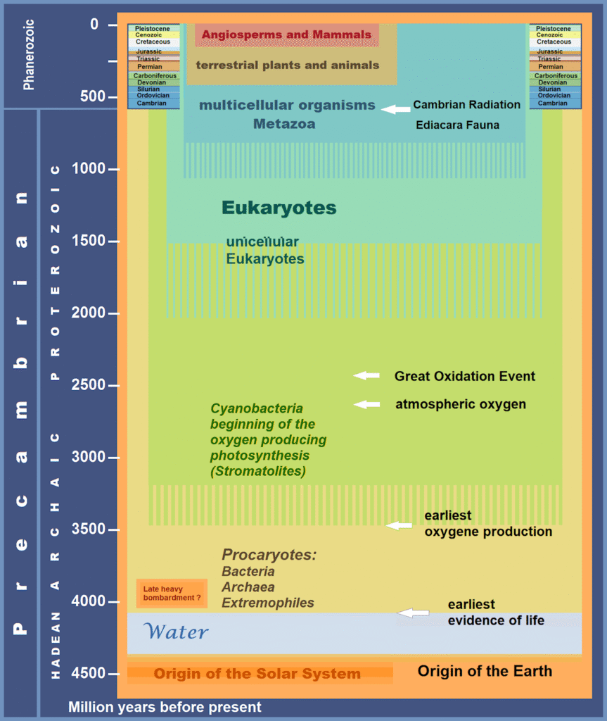 Timeline of Earth's history highlighting cyanobacteria photosynthesis and the Great Oxidation Event increasing atmospheric oxygen 