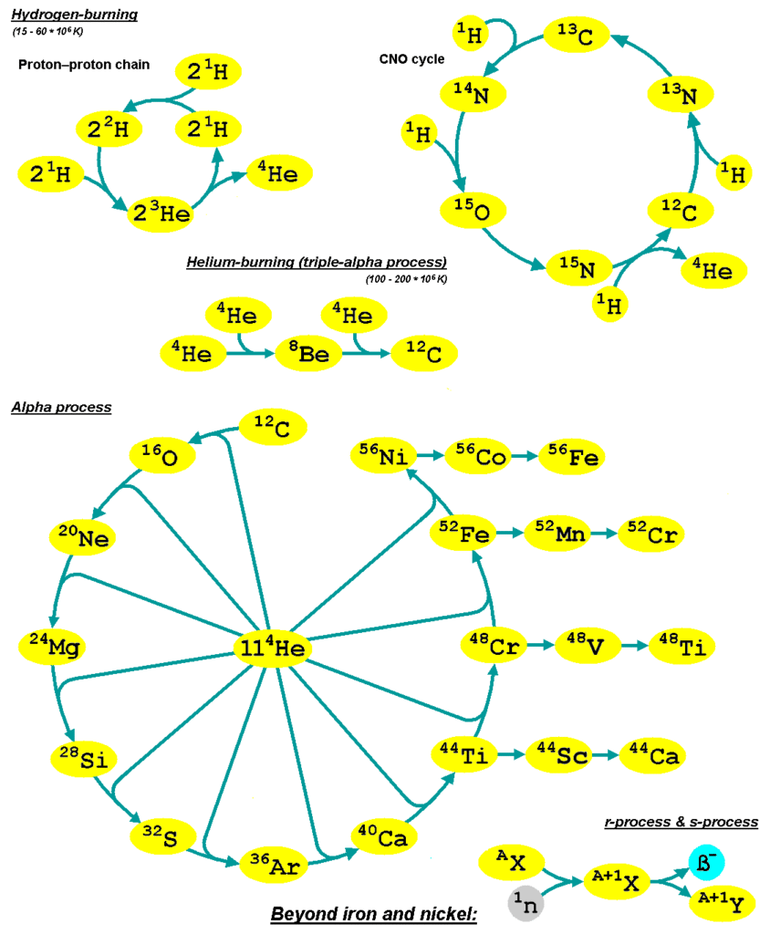 Diagram illustrating key stellar nucleosynthesis processes producing elements from hydrogen fusion to heavier elements beyond iron and nickel.