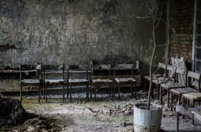 Radiotrophic-Fungus-chernobyl