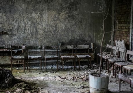 Radiotrophic-Fungus-chernobyl