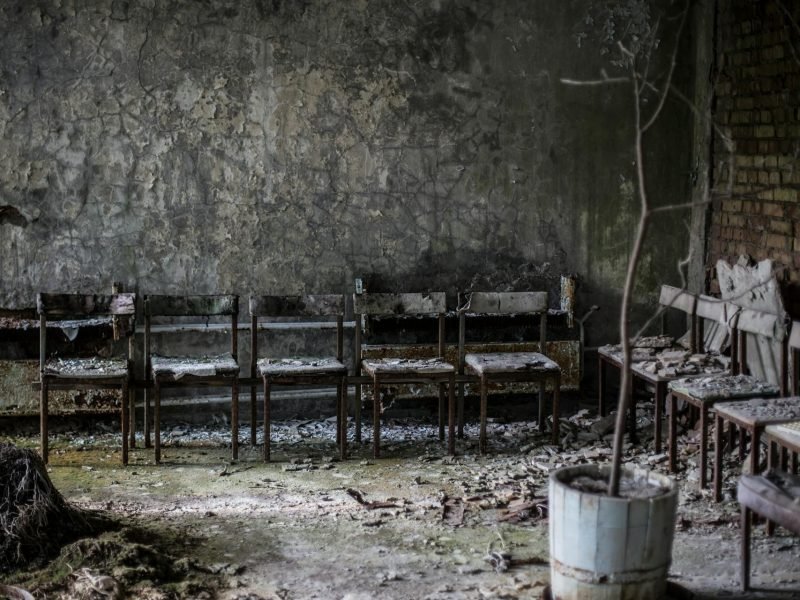 Radiotrophic-Fungus-chernobyl