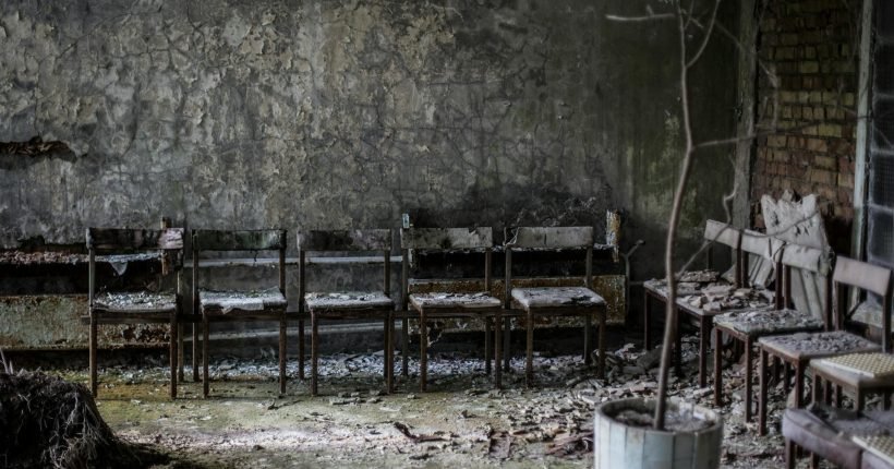 Radiotrophic-Fungus-chernobyl